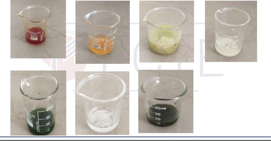 Antioxidant Activity in Beverages